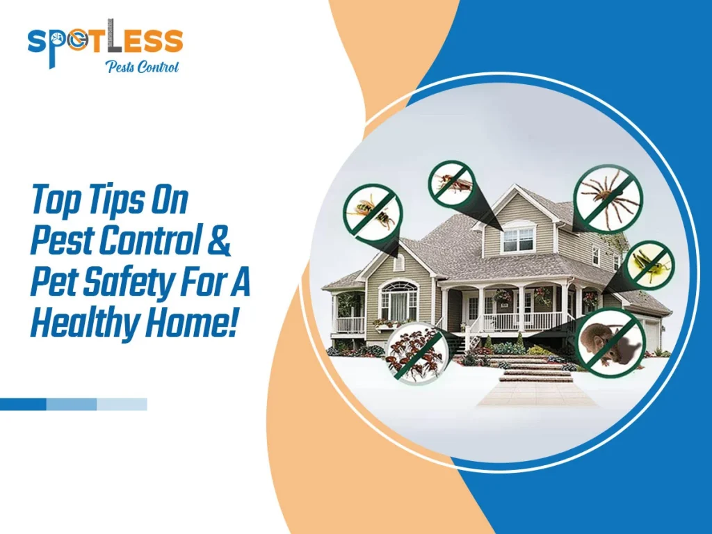Top Tips On Pest Control & Pet Safety For A Healthy Home!