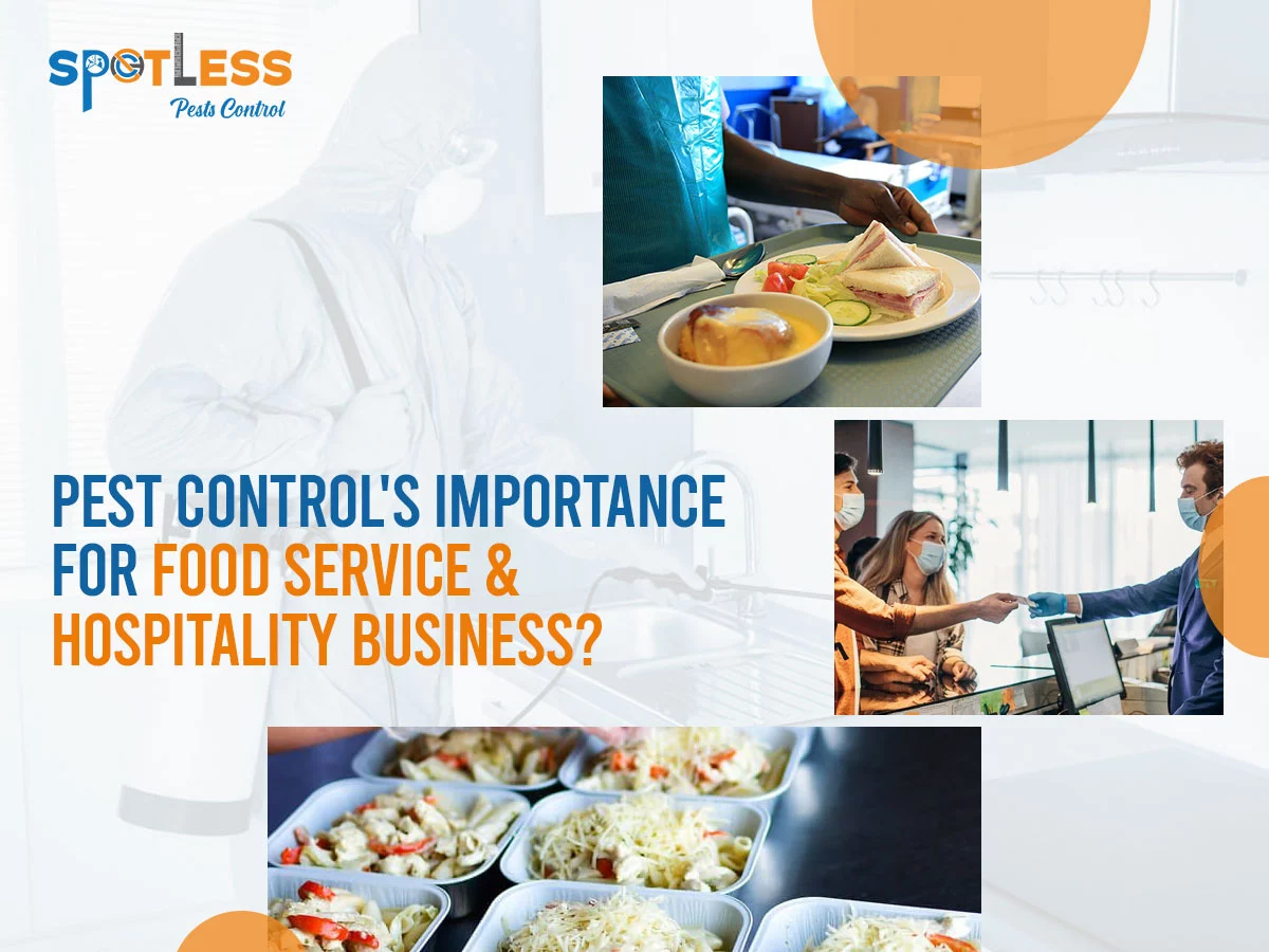 Pest Control’s Importance For Food Service & Hospitality Business?